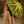 Hand-Painted Madhubani Peacock Umbrella – Lime Green | Traditional Mithila Art Waterproof Foldable Umbrella